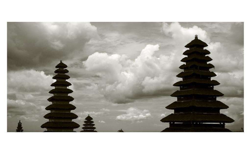 Narendra Guest House Ubud  Exterior photo